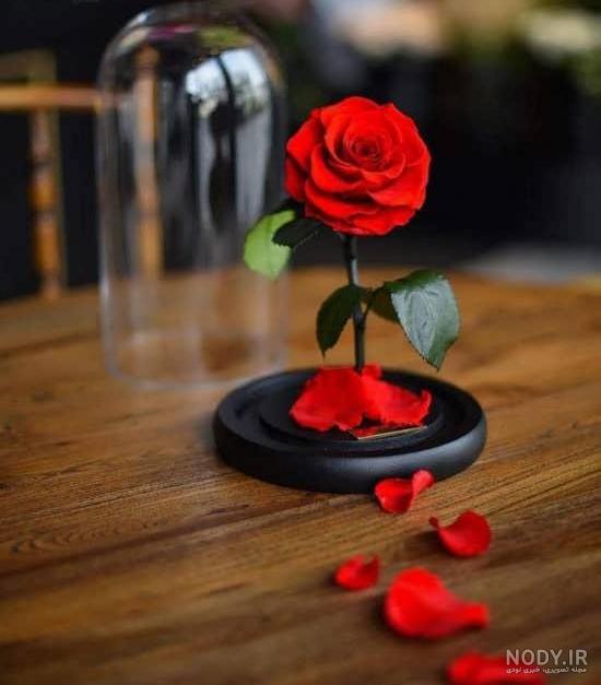 عکس دسته گلهای بسیار زیبا عکس دسته گلهای بسیار زیبا