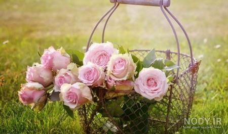 عکس دسته گلهای بسیار زیبا