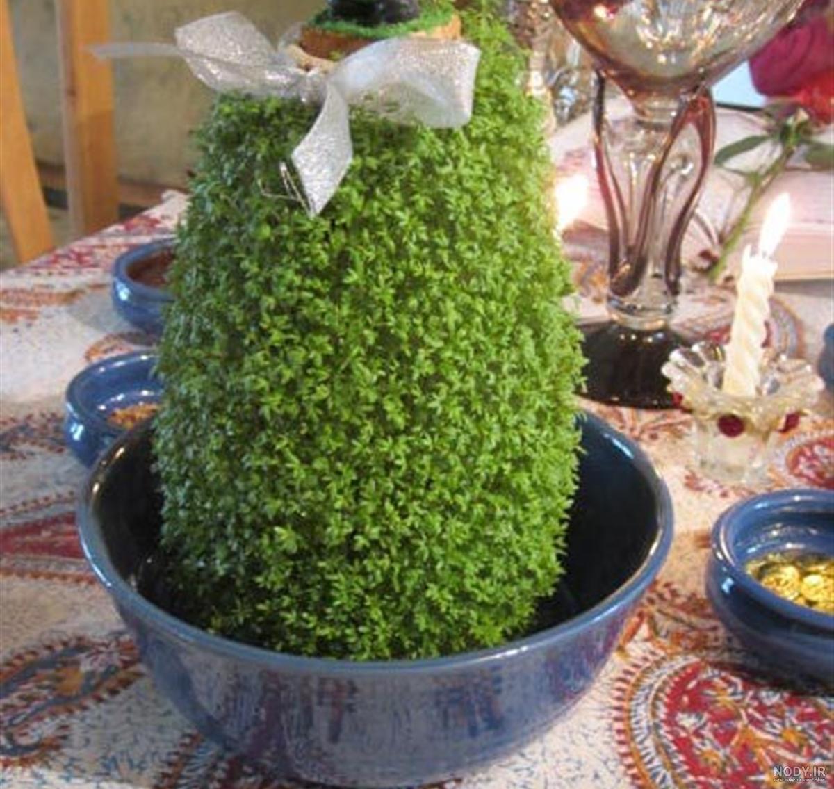 عکس سبزه شاهی روی کوزه عکس سبزه شاهی روی کوزه