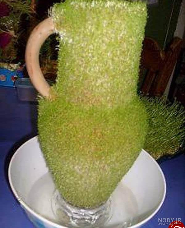 عکس سبزه عید روی کوزه عکس سبزه عید روی کوزه