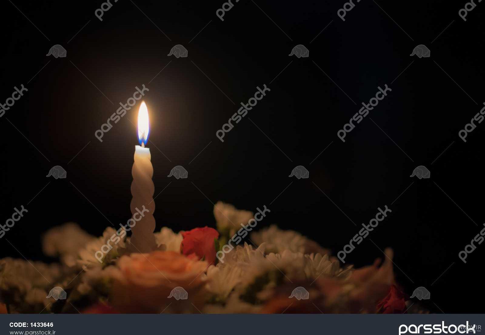 عکس شمع و پروانه متحرک عکس شمع و پروانه متحرک