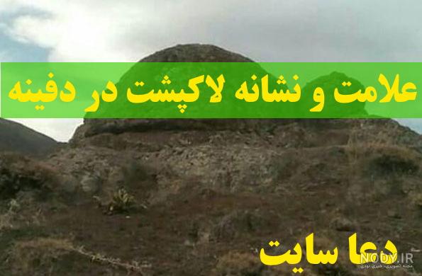 عکس لاک پشت در گنج عکس لاک پشت در گنج