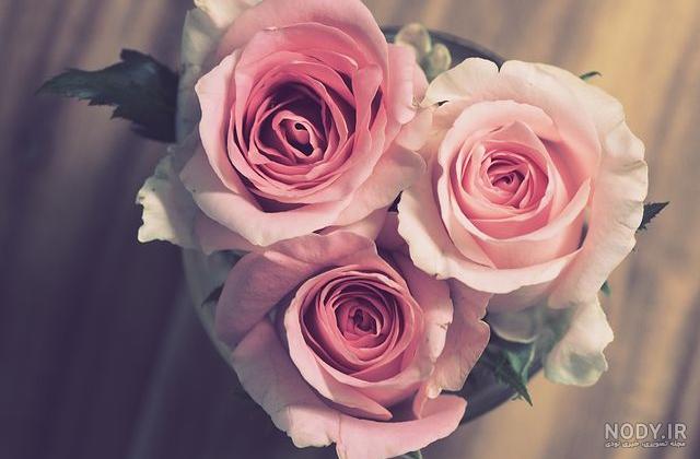 عکس پروفایل دوتا گل