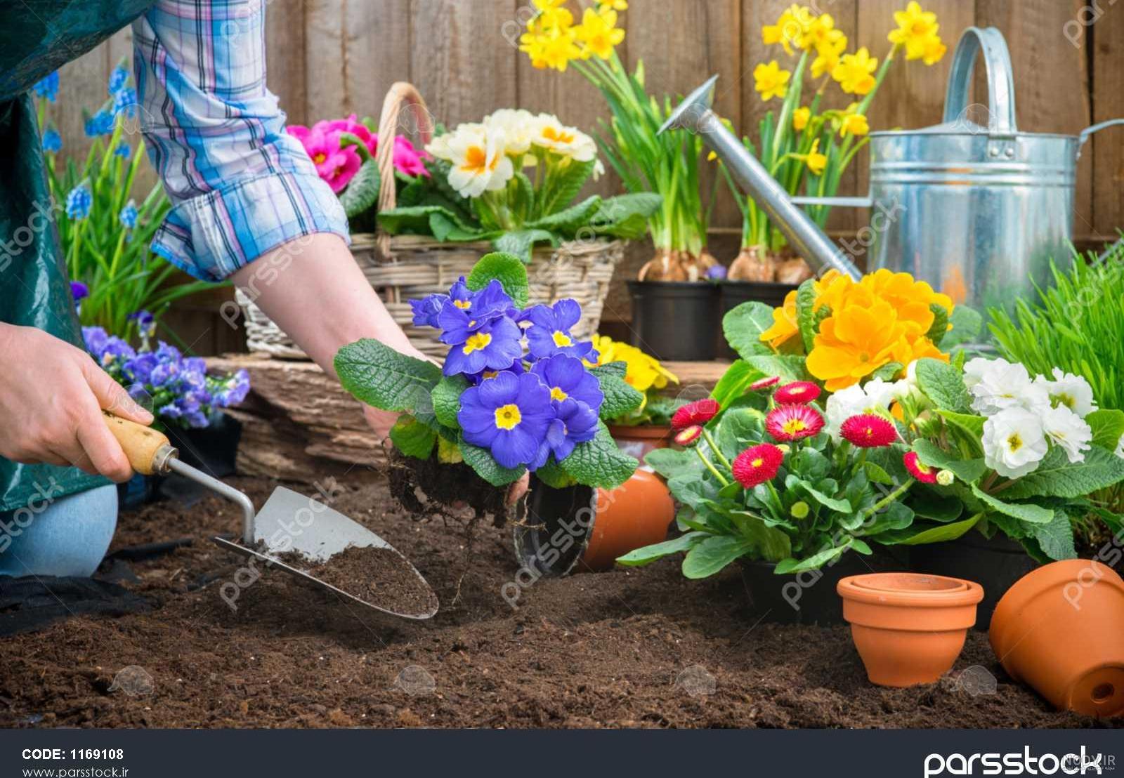 عکس کاشت گلدونی ناخن عکس کاشت گلدونی ناخن