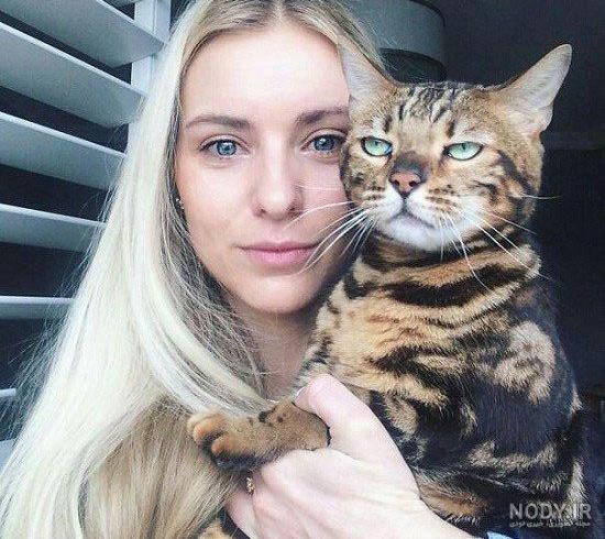 عکس گربه زیبا برای پروفایل