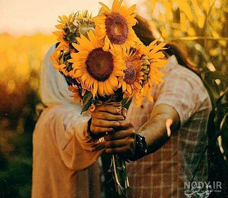 عکس گل برای پروفایل واتساپ