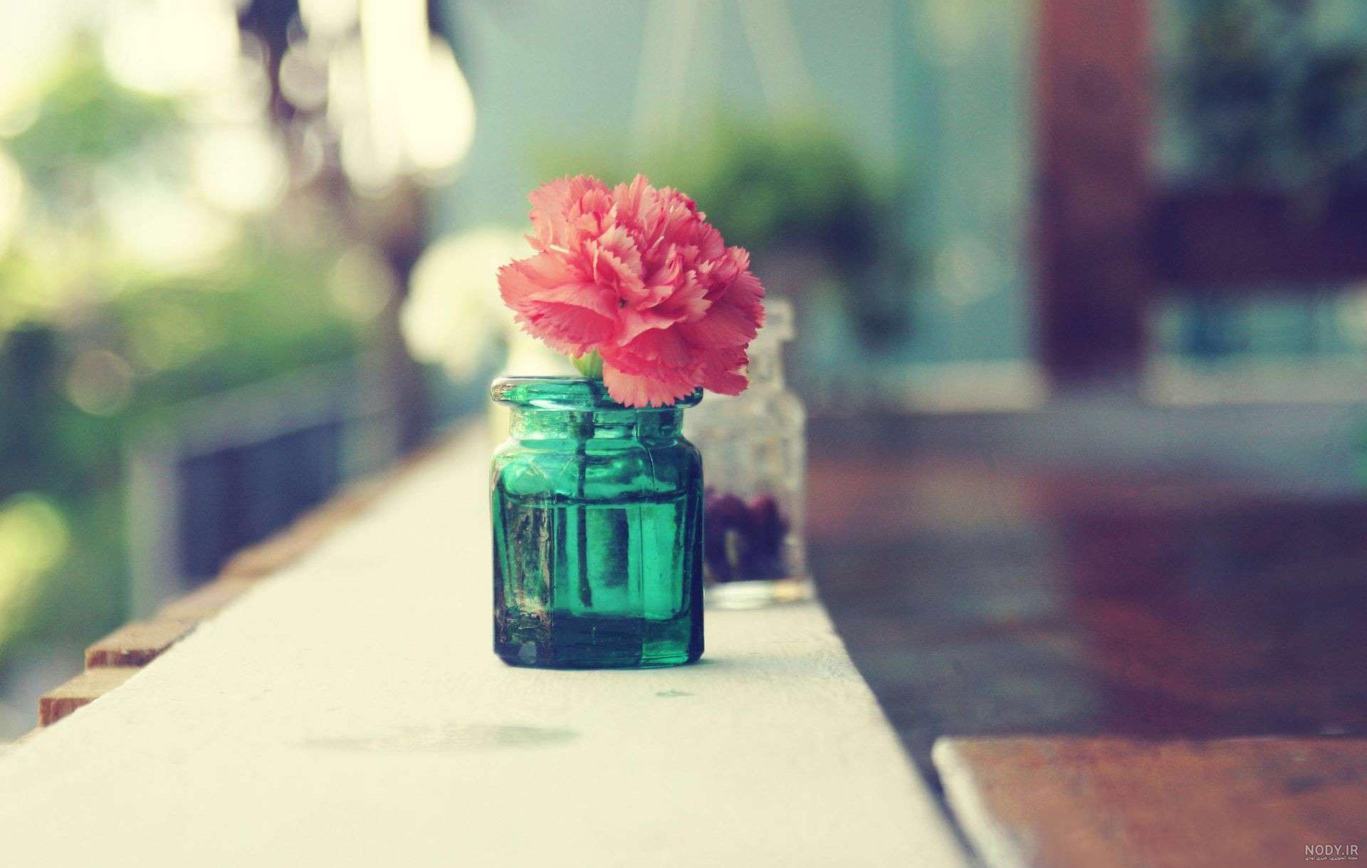 عکس گل زیبا برای پروفایل عکس گل زیبا برای پروفایل