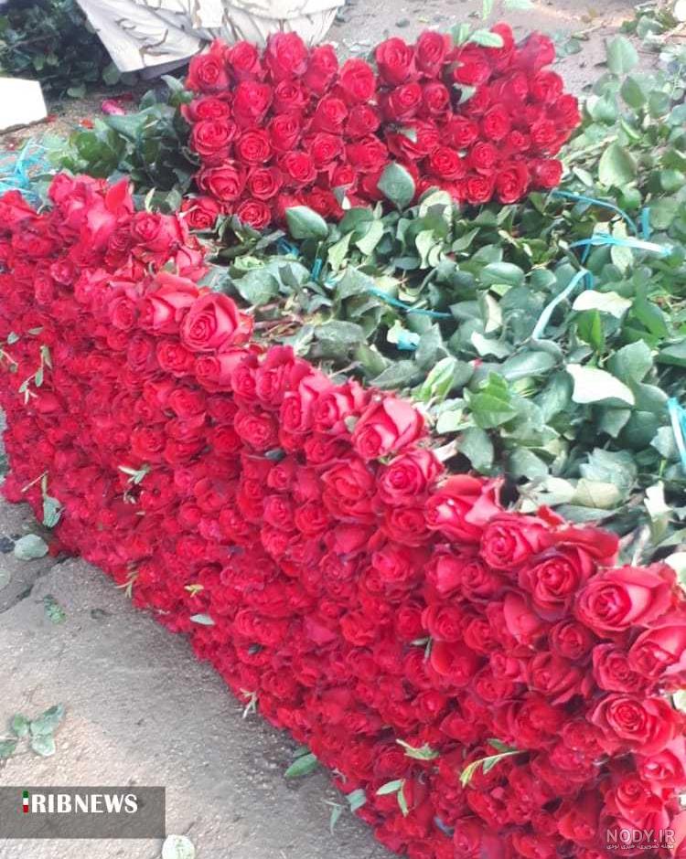 عکس گل مریم پژمرده