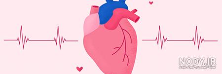 قیمت اجاره هولتر قلب قیمت اجاره هولتر قلب