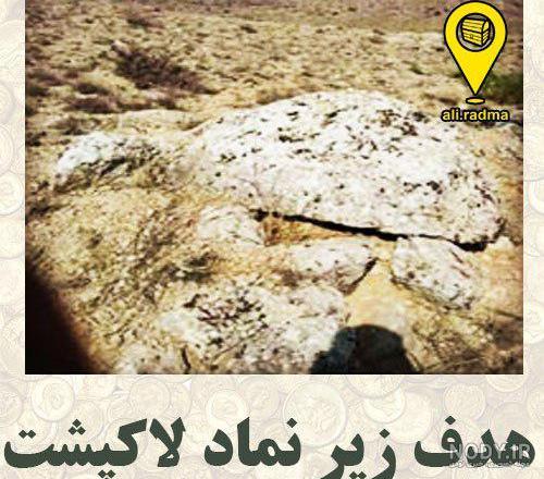 لاک پشت نماد چیست لاک پشت نماد چیست