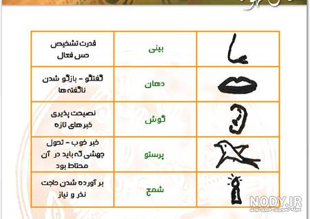مرد ریش دار در فال قهوه