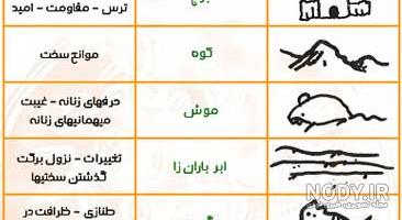 پرنده در فال قهوه