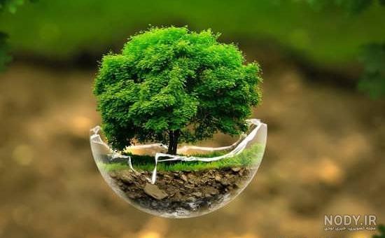 پروفایل طبیعت شمال پروفایل طبیعت شمال