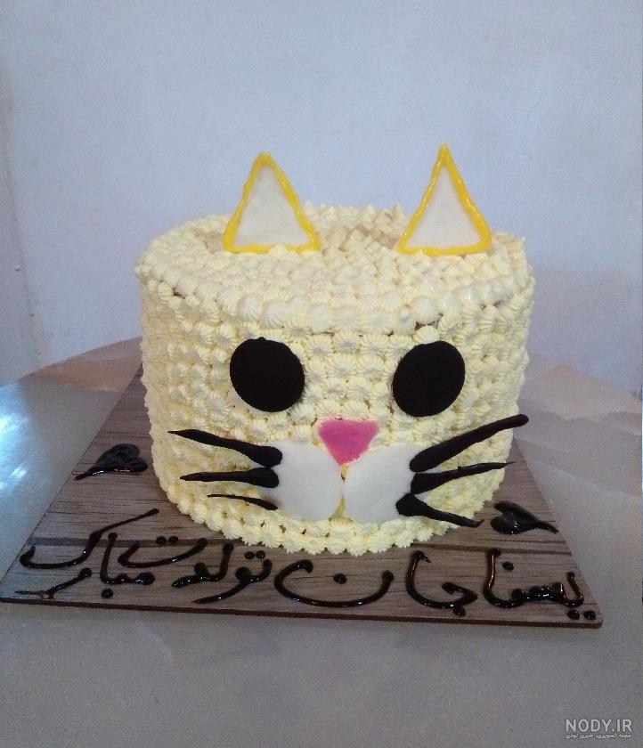 کیک کیتی ساده
