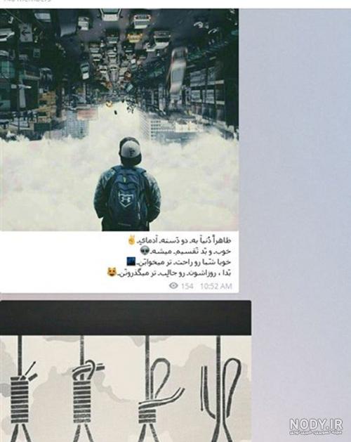 عکس تیغ زدن خشخاش