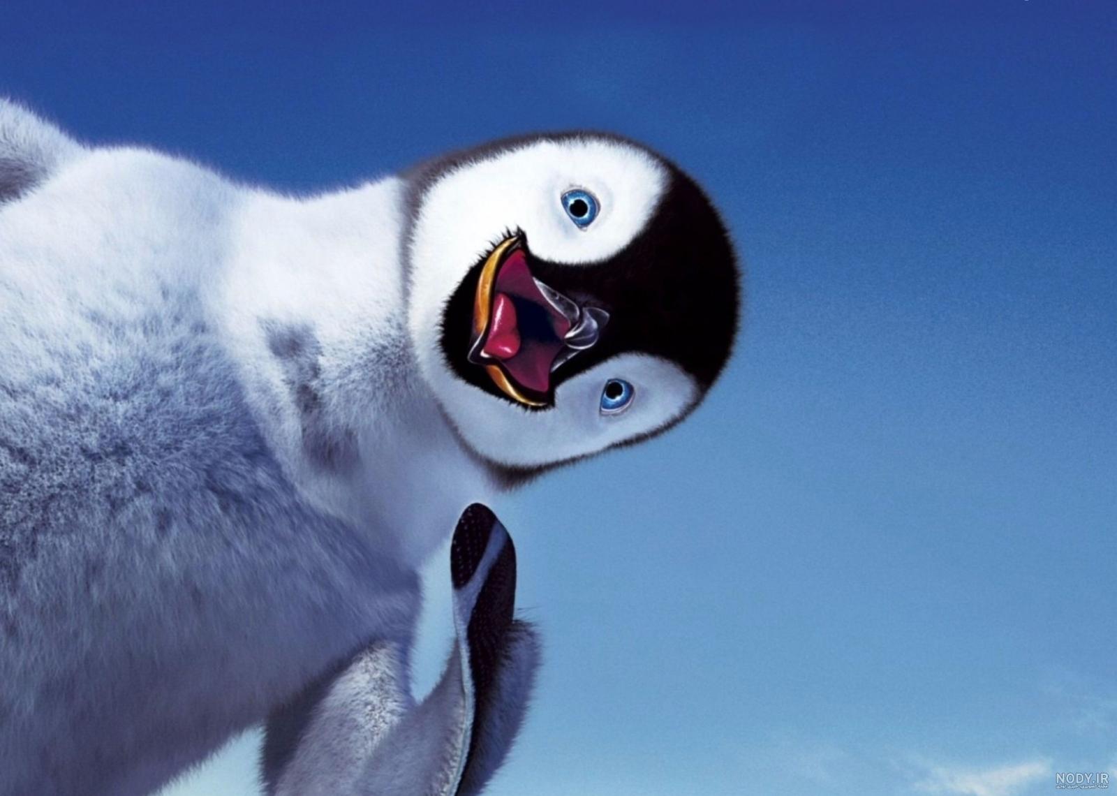  عکس جوجه پنگوئن