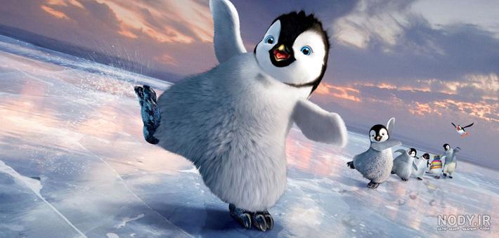  عکس جوجه پنگوئن