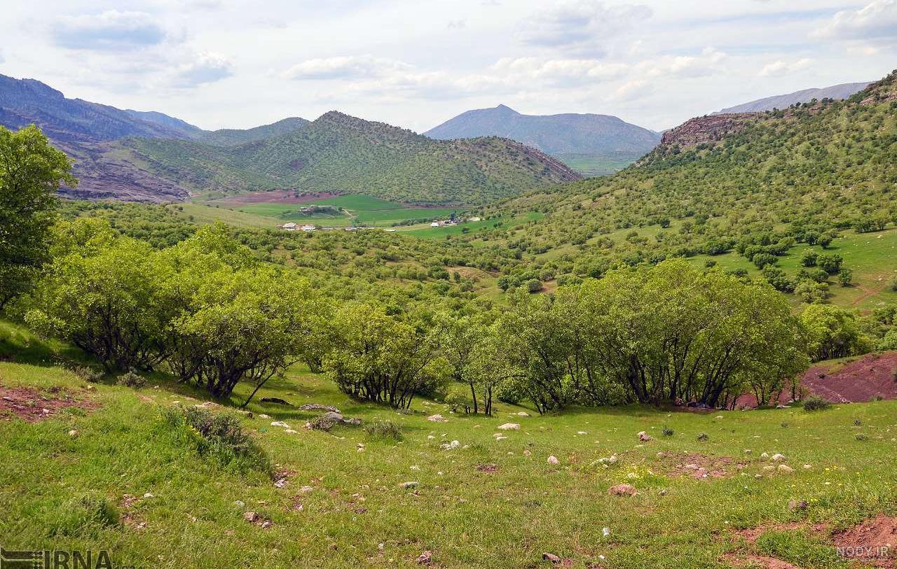 آداب و رسوم شهرستان دورود