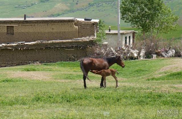 اسامی جالب روستاهای ایران
