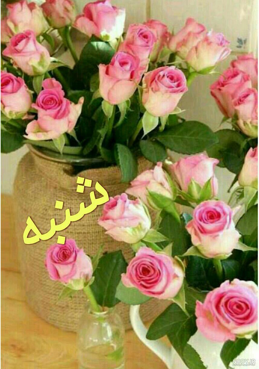 استیکر سلام صبح بخیر متحرک واتساپ