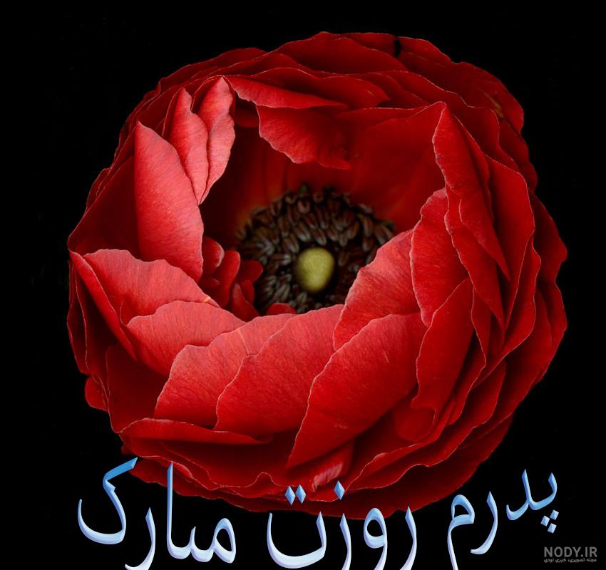 تبریک روز پسر از طرف مادر