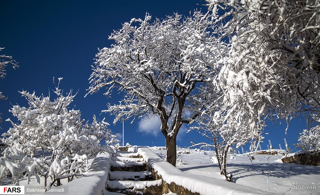 تصاویر طبیعت زیبا زمستان