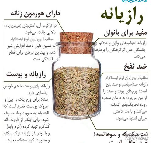 تفاوت زیره و رازیانه نی نی سایت تفاوت زیره و رازیانه نی نی سایت