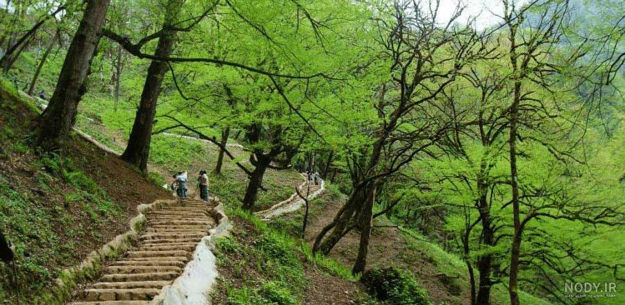 جاذبه های گردشگری جنوب ایران جاذبه های گردشگری جنوب ایران