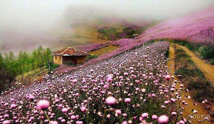 جاهای دیدنی شمال نی نی سایت جاهای دیدنی شمال نی نی سایت