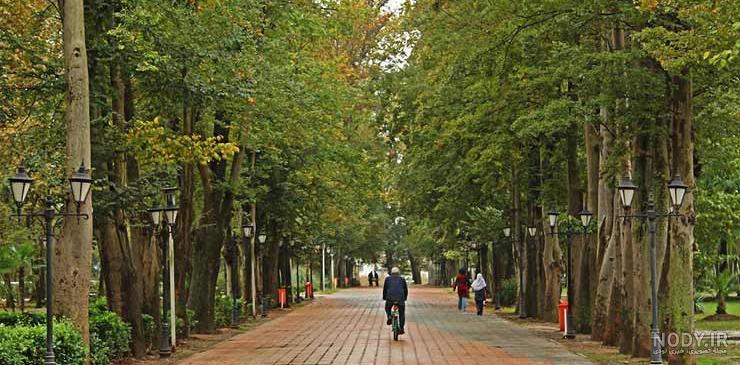 جاهای دیدنی گیلان در بهار جاهای دیدنی گیلان در بهار