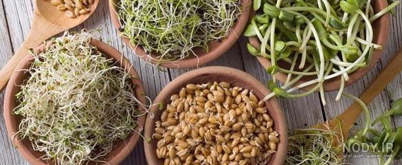 خواص دمنوش یونجه خواص دمنوش یونجه