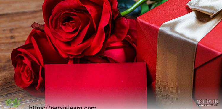 دانلود عکس گل رز قرمز