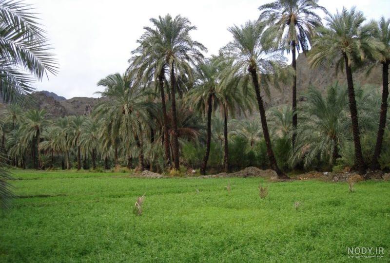 راسک شهرستان سرباز راسک شهرستان سرباز
