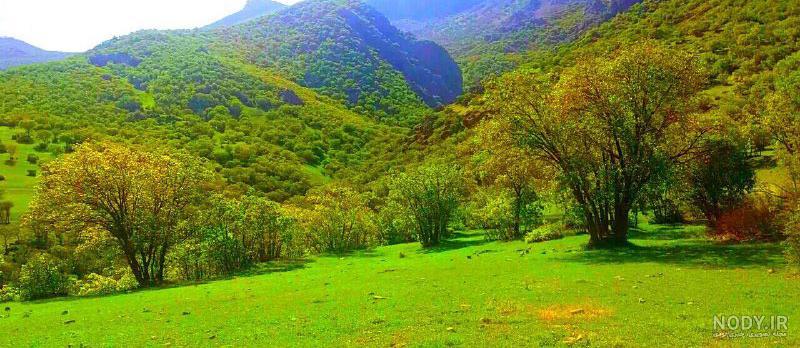 روستاهای دورود
