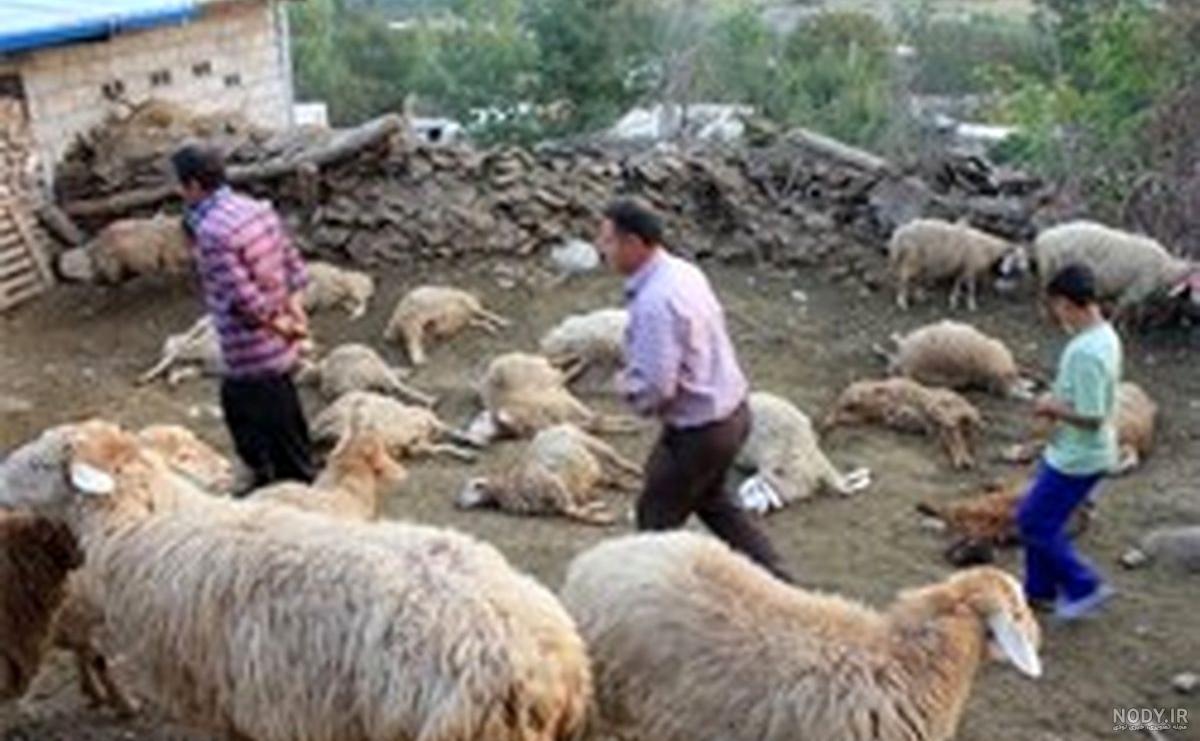 روستای طالقان قزوین روستای طالقان قزوین