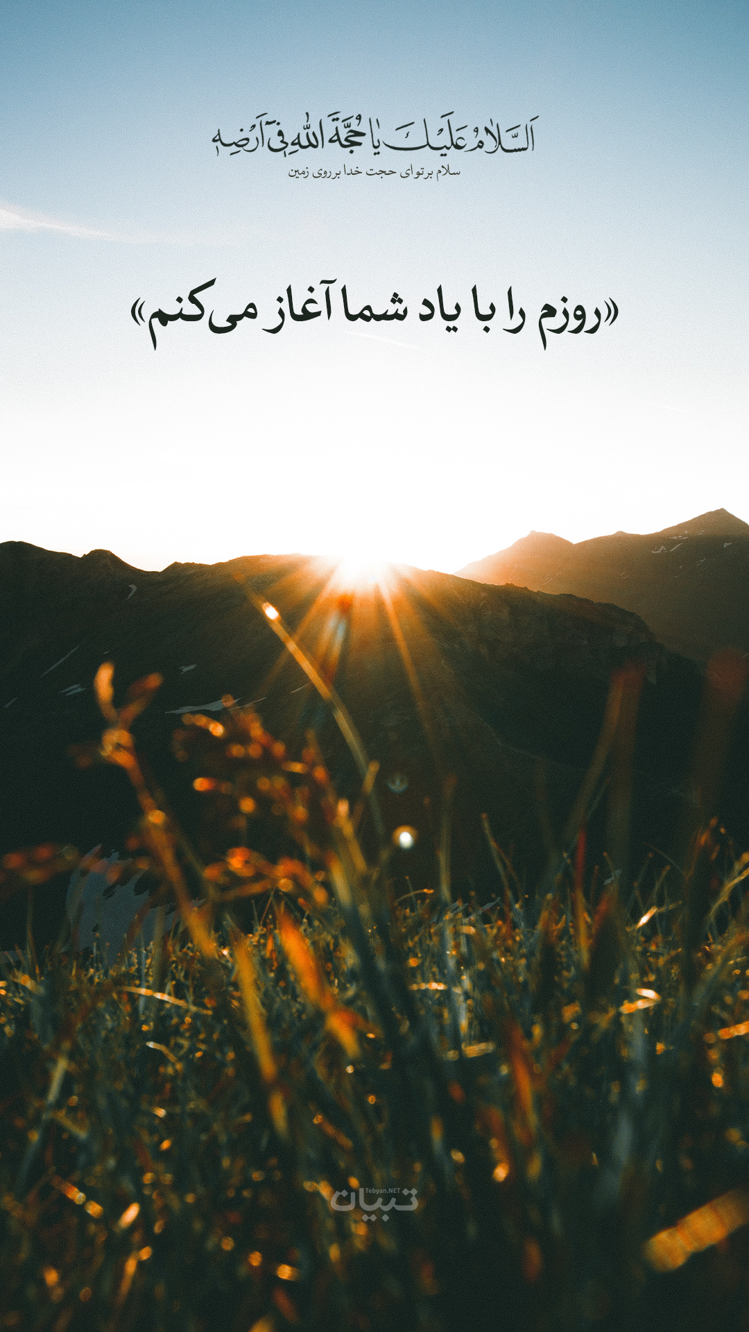 شبکه قرآن زنده شبکه قرآن زنده