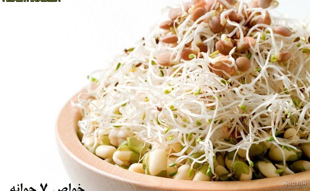طرز پختن یونجه طرز پختن یونجه