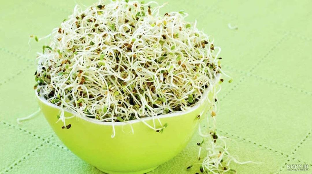طریقه مصرف یونجه طریقه مصرف یونجه
