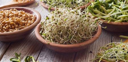 طریقه مصرف یونجه طریقه مصرف یونجه