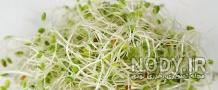 طریقه مصرف یونجه خشک طریقه مصرف یونجه خشک