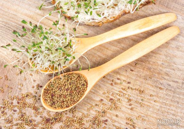 عرق یونجه برای چاقی عرق یونجه برای چاقی
