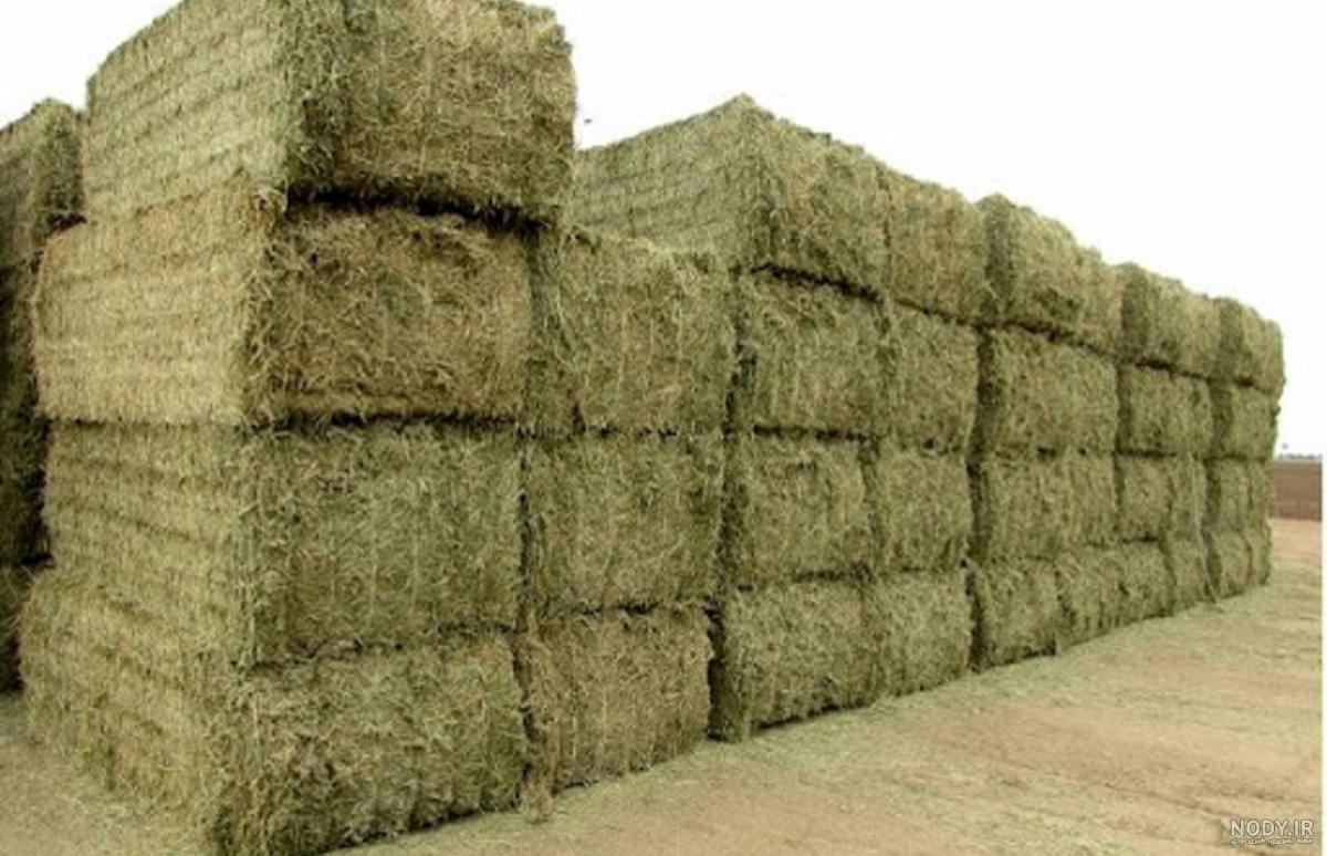 عوارض یونجه