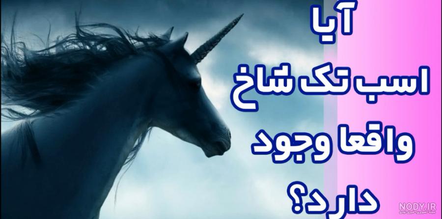 عکس اسب تک شاخ عروسکی