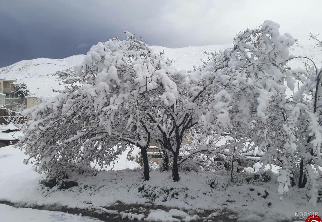 عکس برف در شب