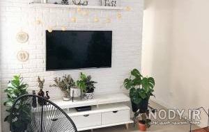 عکس تی وی روم با سنگ انتیک
