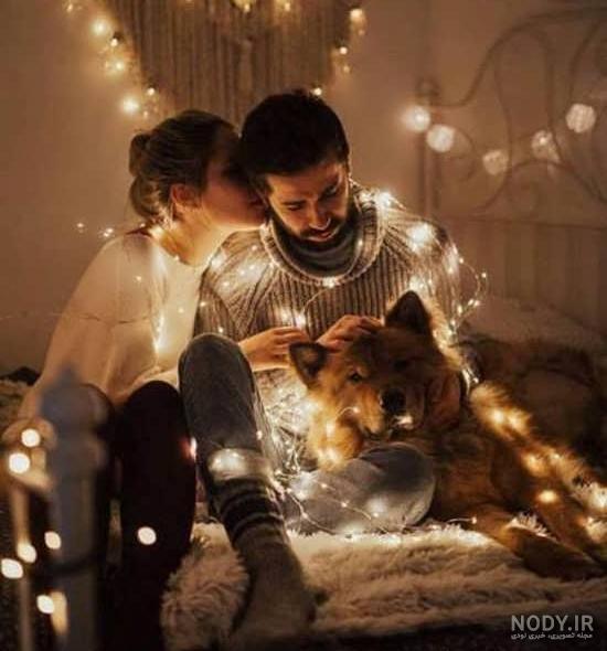عکس درخت پاییزی بدون برگ عکس درخت پاییزی بدون برگ