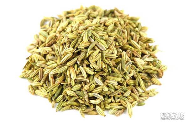 عکس زیره عکس زیره
