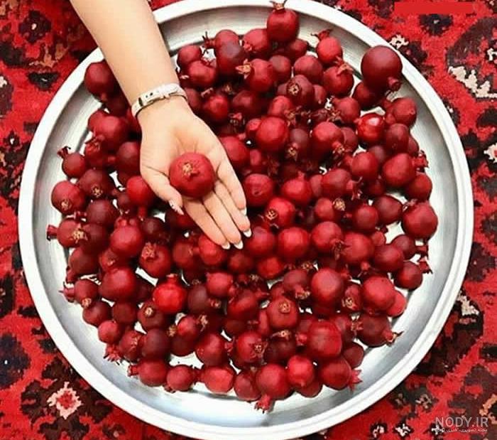 عکس شب یلدا بدون نوشته