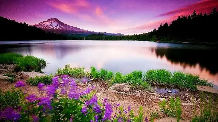 عکس طبیعت واقعی برای پروفایل عکس طبیعت واقعی برای پروفایل