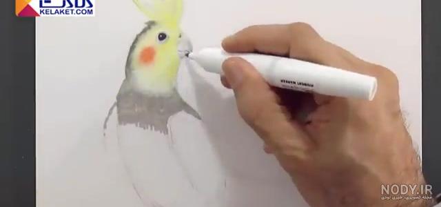 عکس عروس هلندی برای نقاشی